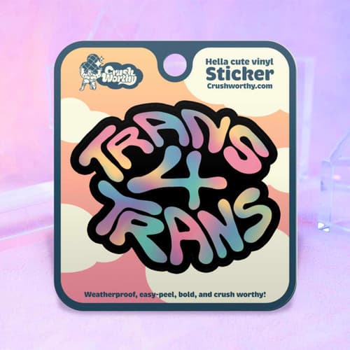Trans 4 Trans Sticker Sheet