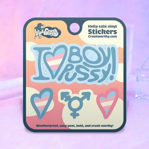 I Love Boy Pussy Sticker Sheet