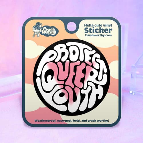 Protect Queer Youth Sticker Sheet