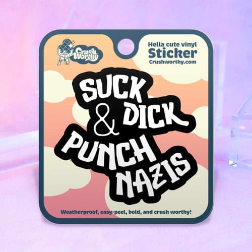 Suck Dick & Punch Nazis Sticker Sheet